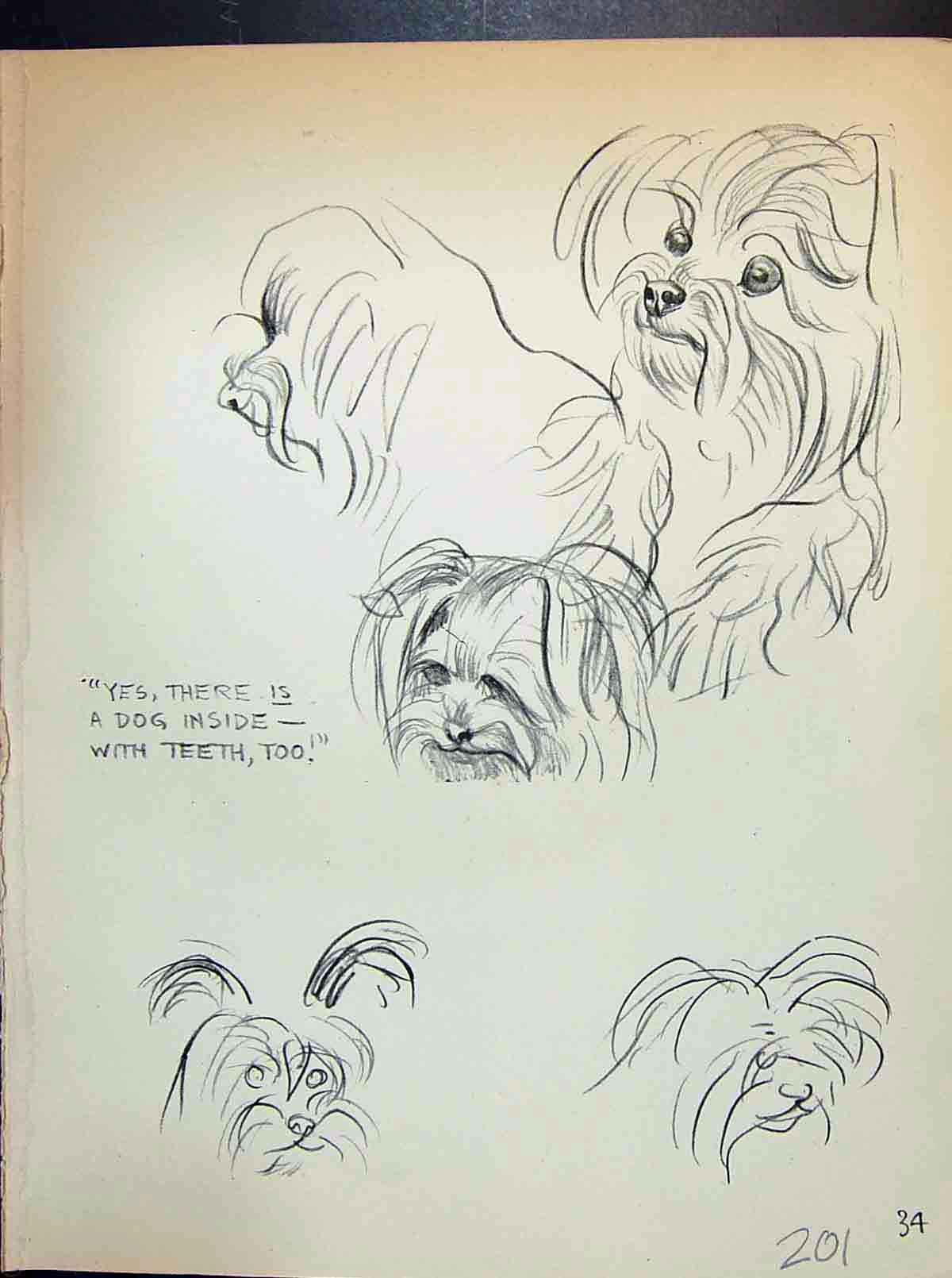 Old C1932 Important People Dowd-Brenda Spender Sketch Scruffy Dogs An 20th