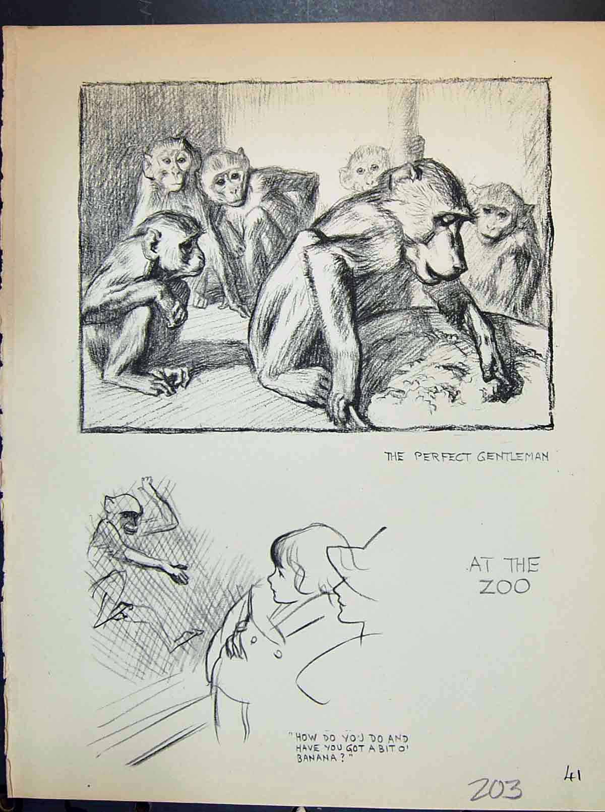 Old Print C1932 Important People Dowd-Brenda Spender Zoo Animals Monkeys 20th