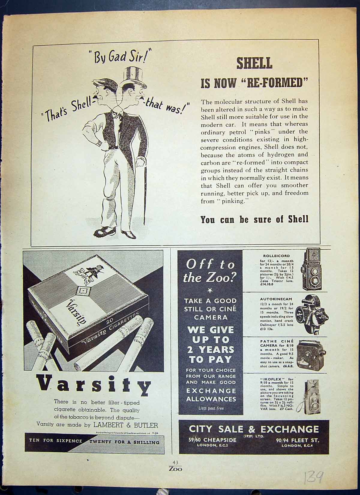 Old Print Varsity Lamber Butler Cigarettes Shell Camera Animals Fish Art