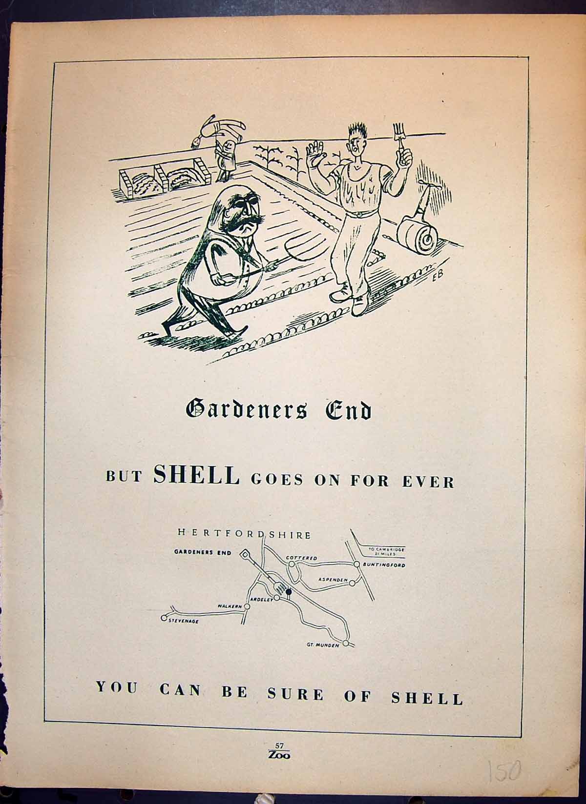 Old Print Shell Oil Hertfordshire Children Zoo Reynard Fox Regent'S Park