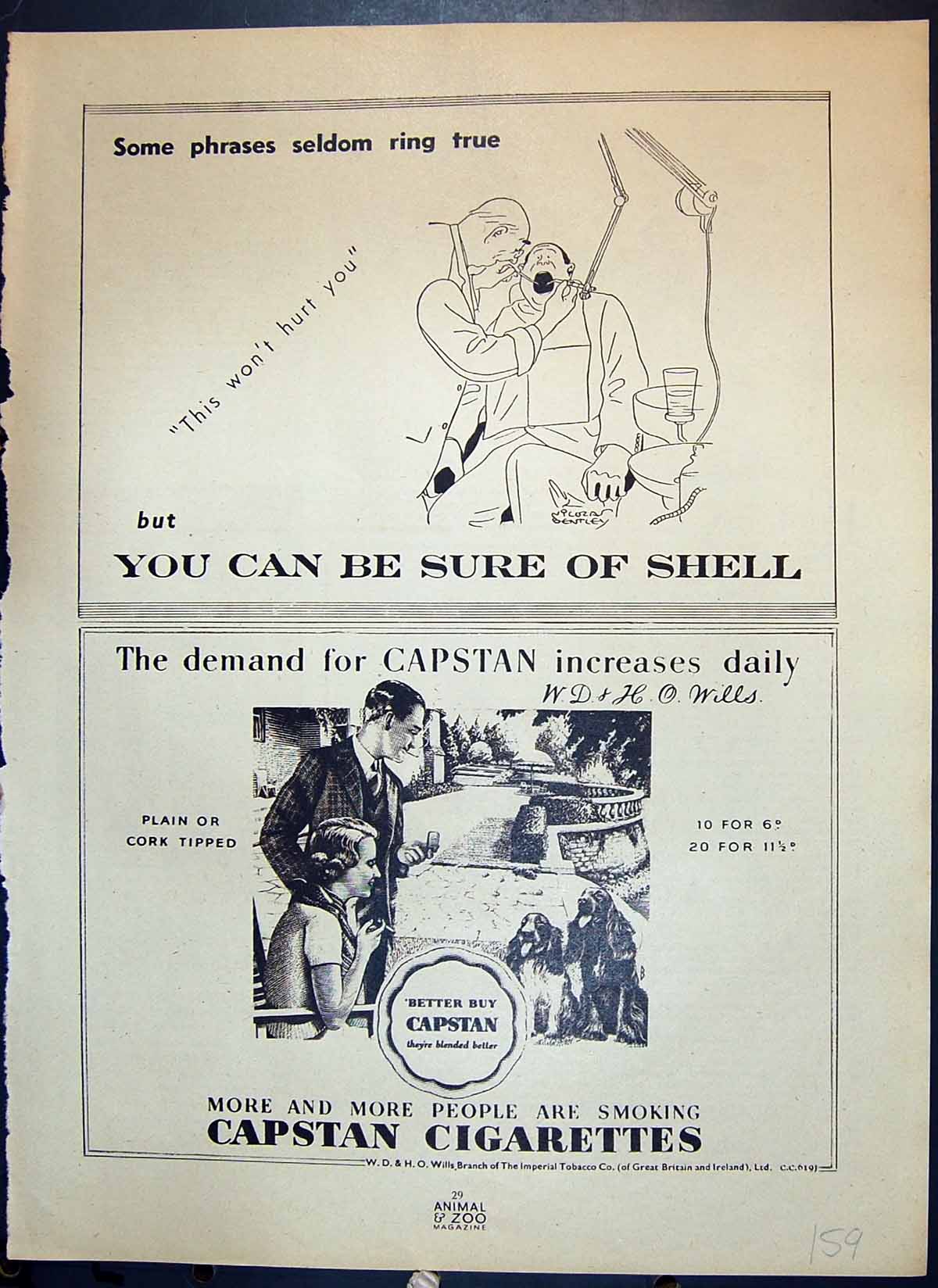 Antique Old Print Shell Capstan Cigarettes Tobacco Tang Dog Baby Animals Zoo