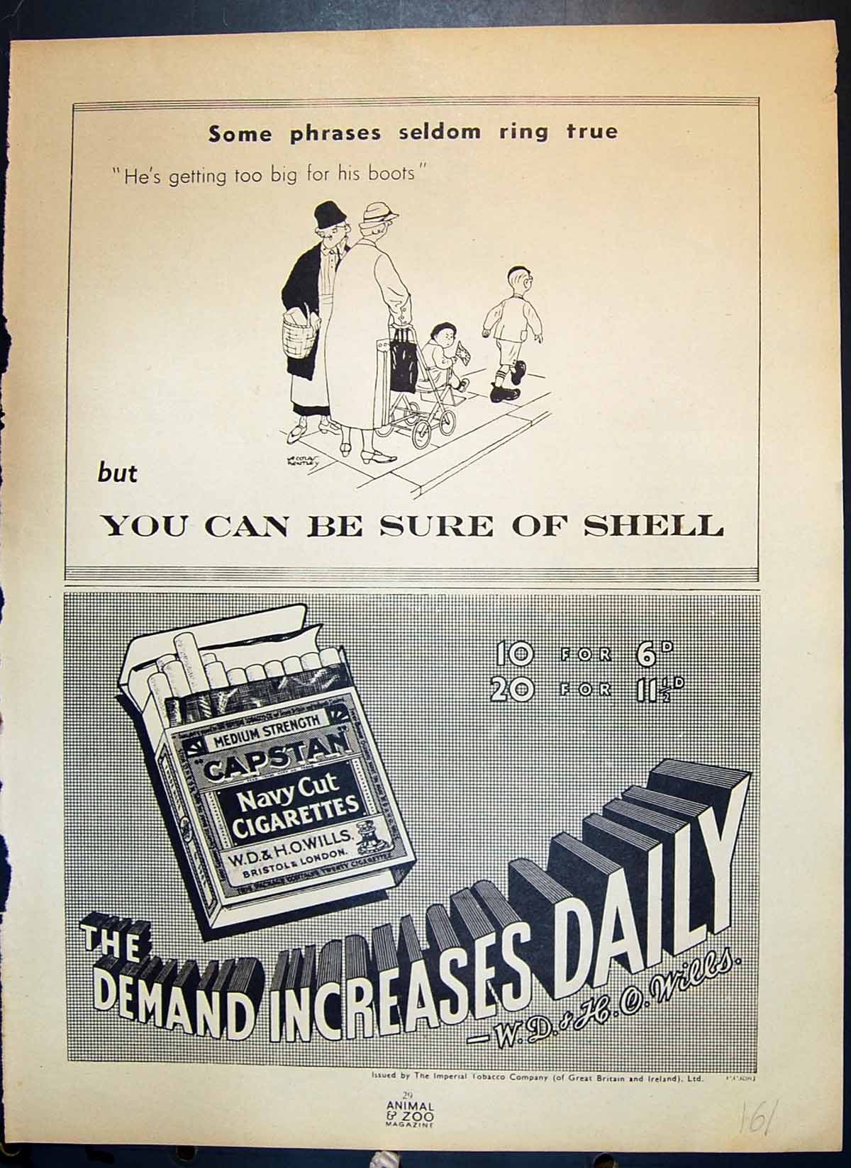 Old Shell Wills Navy Cut Capstan Cigarettes Zoo Keeper Shelley Monkey