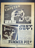 Old Capstan Navy Cut Cigarettes Summer Pie Pit Black-Backed Gull Bird