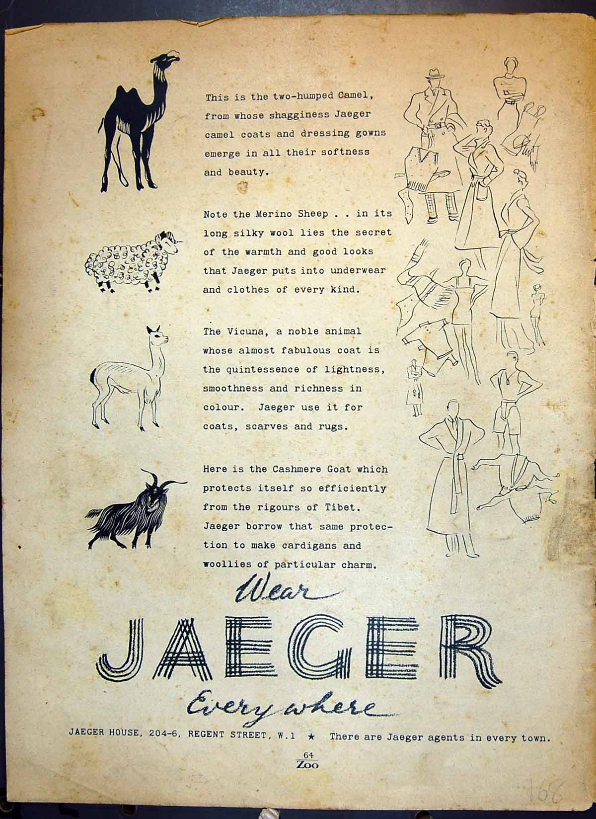 Old Print Jaeger House Eagle Steamers Raleigh Bicycle Minors Cigarettes