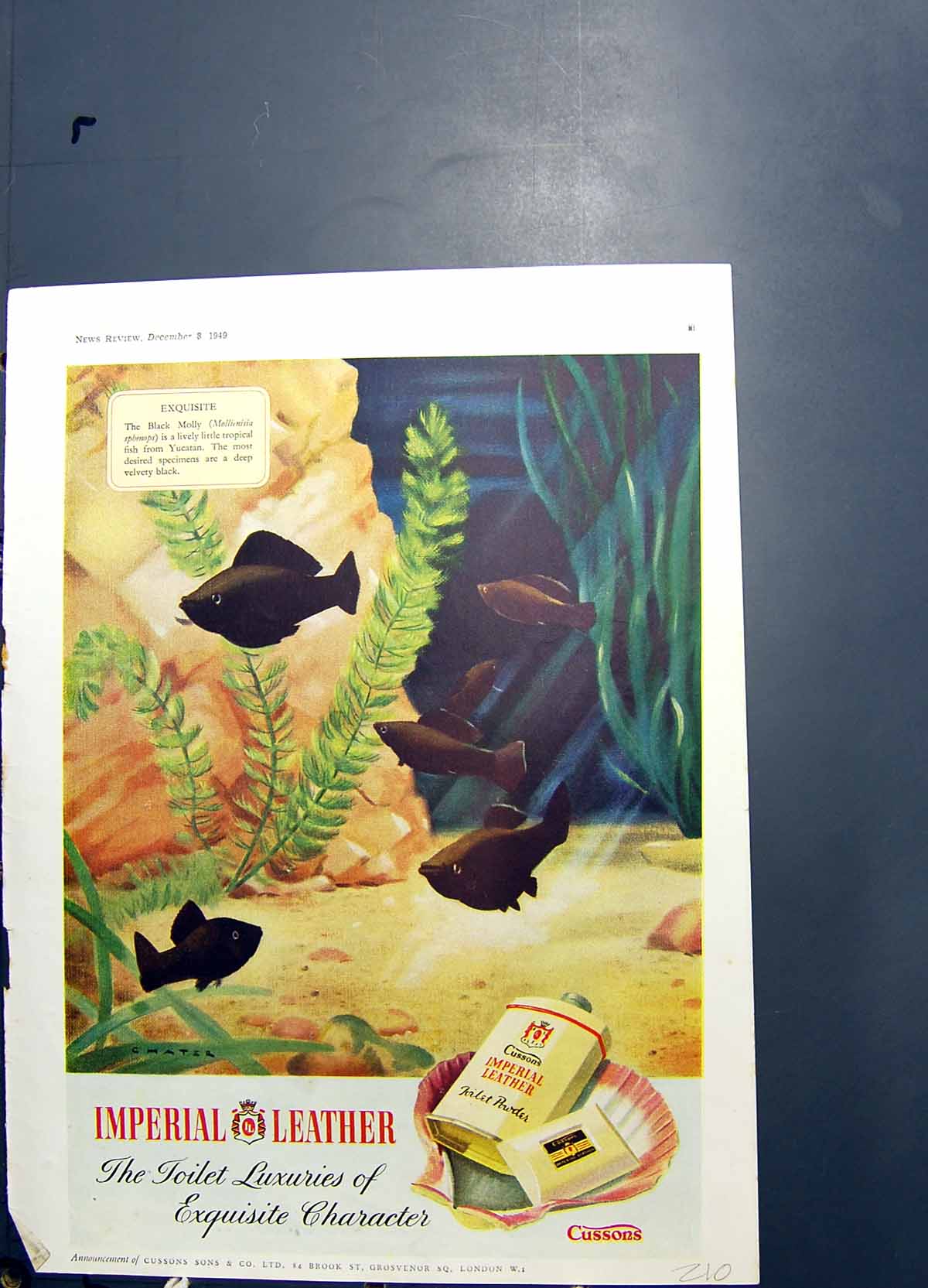 Old Print Cussons Imperial Leather Soap Mr Peek & Mr Frean Biscuits 1949 20th