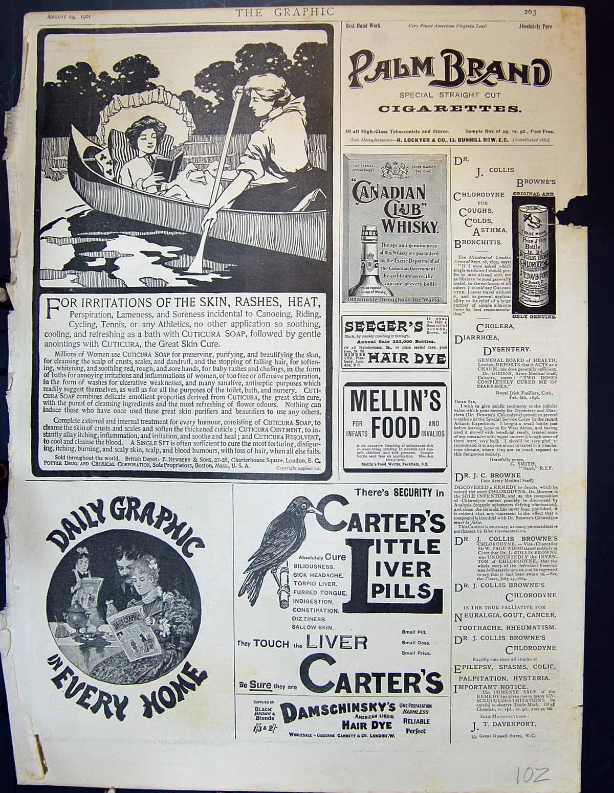 Original Old Antique Print 1901 Potter Drug Palm Cigarettes Carters Liver Pills