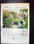 Old Vintage Print Colour 1957 Advertisement Shell May Trees Countryside 20th