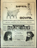 Antique Print 1897 Advertisement Bovril Lord Playfair Harlene Hair Restorer