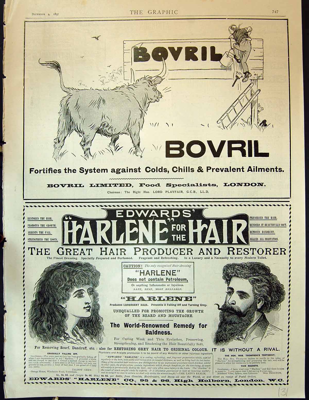 Antique Print 1897 Advertisement Bovril Lord Playfair Harlene Hair Restorer
