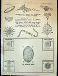 Old Antique Print Advertisement Benson Jewellery Vinolia Powder Soap 1898 19th