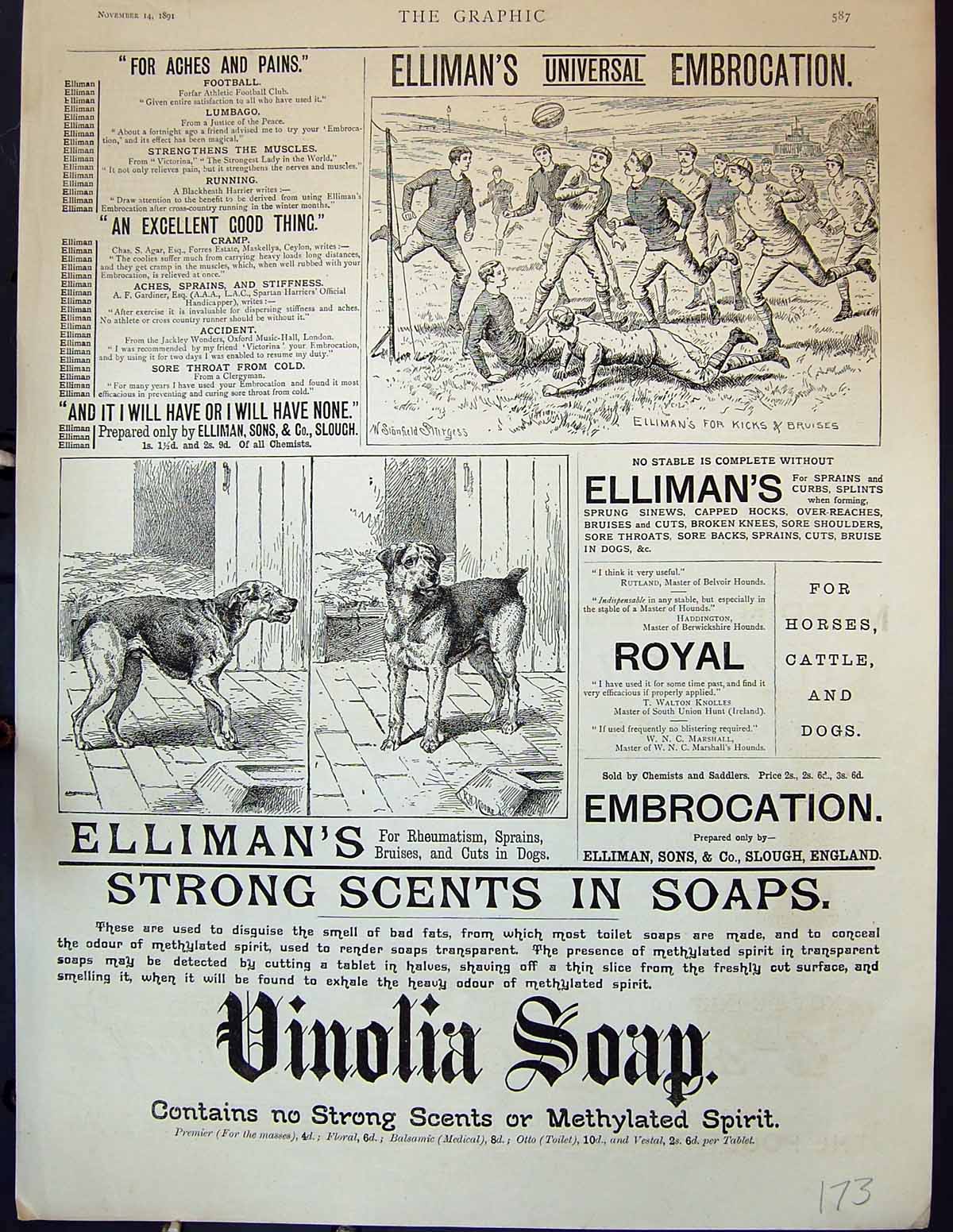Antique Old Print 1891 Ellimans Embrocation Slough Sport Dogs Vinolia Soap 19th