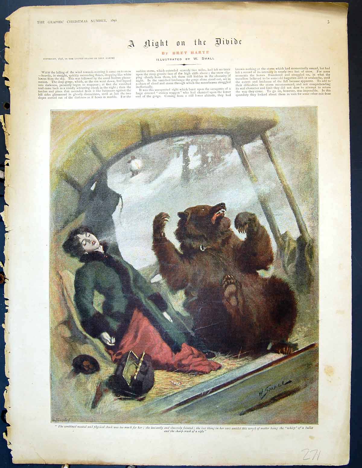 Old Antique Print 1896 Colour Illustration Fainting Lady Brown Bear Harte 19th