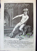Old 1891 Brooke'S Monkey Brand Soap Young Child Fur Rug Advertisement Victorian
