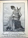 Antique Print Advertisement 1895 Brooke'S Monkey Brand Soap Leisure Cherub 19th