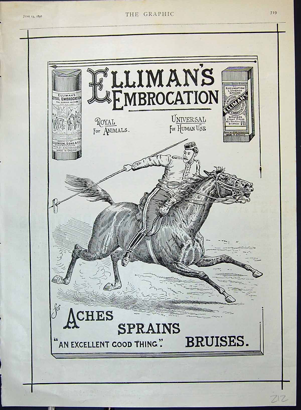 Antique Print Ellimans Embrocation Sier Horse Jousting Advertisement 1896 19th