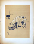 Antique Old Print Eating Food Bowl 1902 Cat Dog Day Cecil Aldin Pet Animal 20th