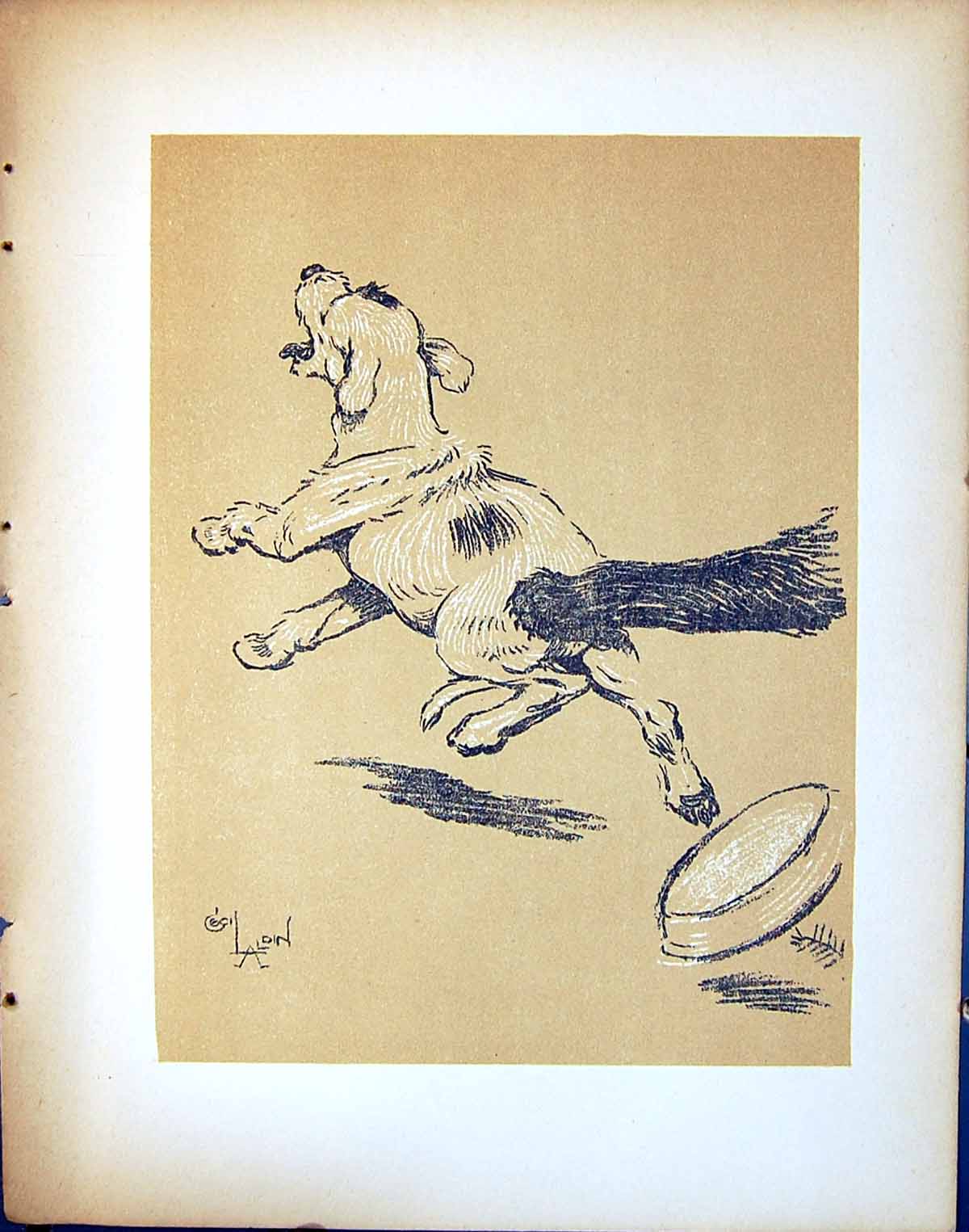 Antique Old Print Caught By Cat Food Bwol 1902 Dog Day Cecil Aldin Pet Animal