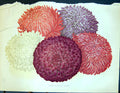 Original Old Antique Print Tasselled Asters Flowers Colour Garden 1878 19th