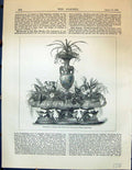 Old Jardiniere Bronze Flowers Fine-Leaved Plants Intermixed Garden 18 19th
