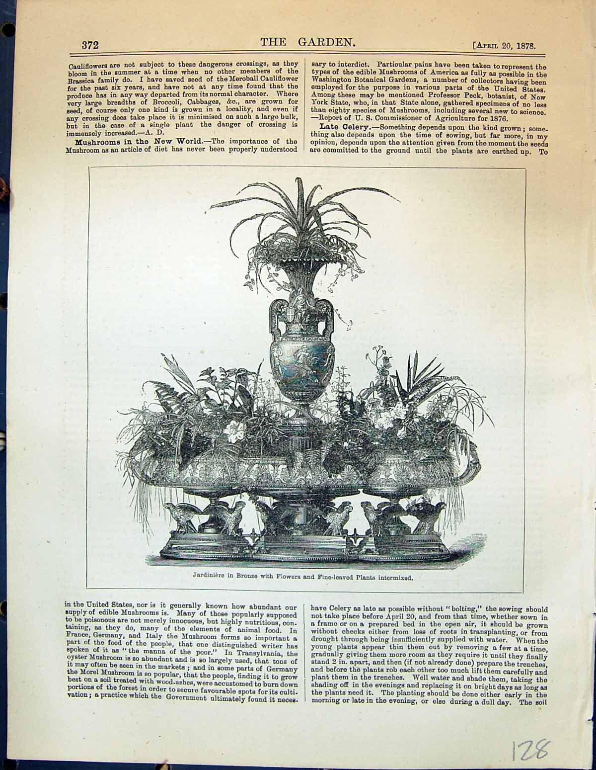 Old Jardiniere Bronze Flowers Fine-Leaved Plants Intermixed Garden 18 19th