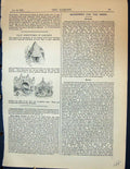 Original Old Antique Print Ugly Structures Gardens 1878 Parc Monceau Victorian