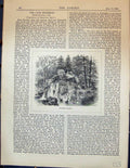 Original Old Antique Print Garden Cascade Waterfall Trees 1878 19th