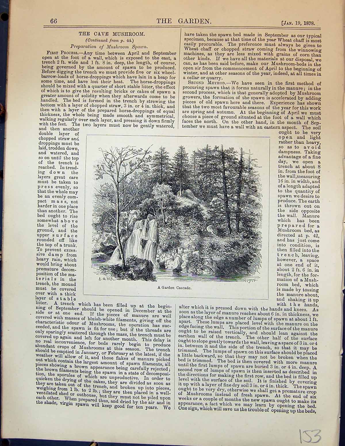 Original Old Antique Print Garden Cascade Waterfall Trees 1878 19th
