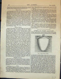 Old Antique Print Cisterns Storing Rain Water Cement Arched Garden 1878 19th