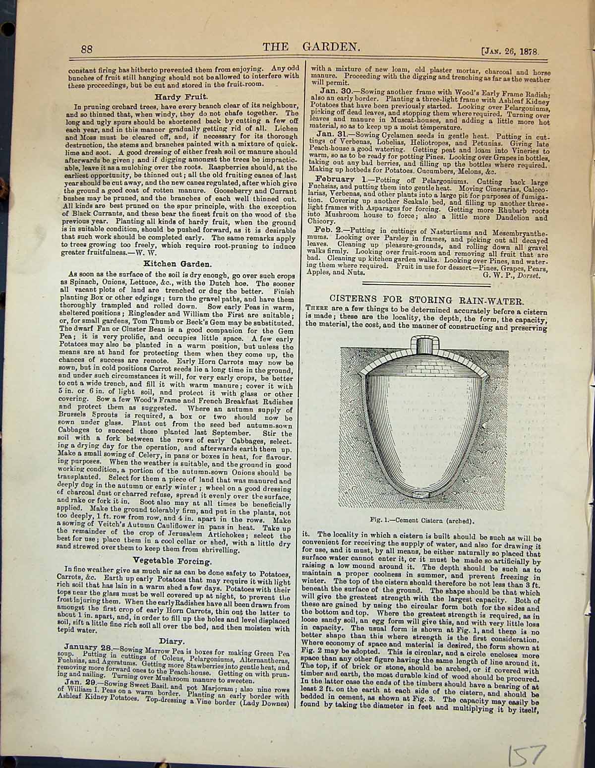 Old Antique Print Cisterns Storing Rain Water Cement Arched Garden 1878 19th