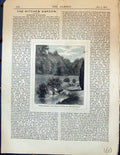 Antique Print Garden Streamlet Groups Yuccas Water-Side Plants Garden 1878 19th