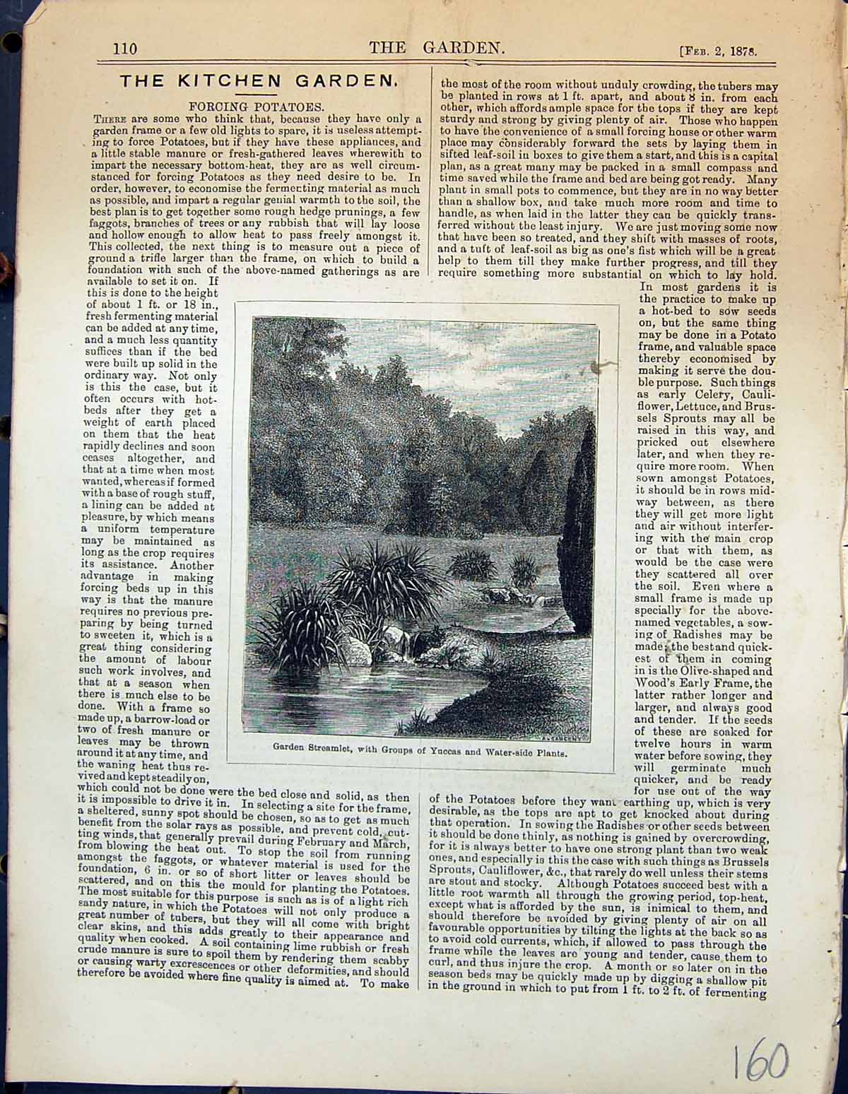 Antique Print Garden Streamlet Groups Yuccas Water-Side Plants Garden 1878 19th