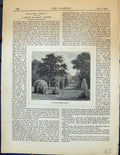 Original Old Antique Print Small Garden Sunset Trees Hedges 1878 19th