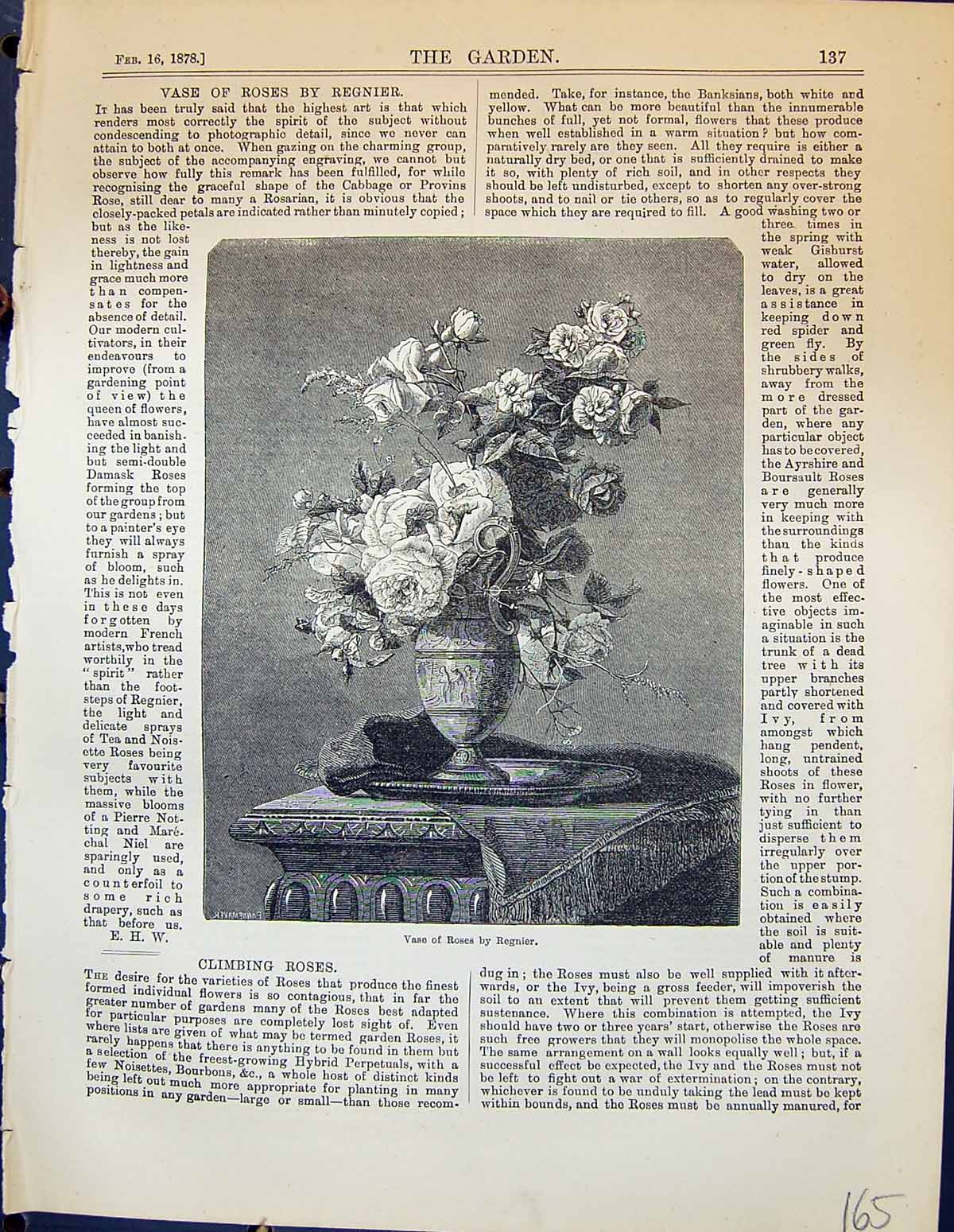 Original Old Antique Print Vase Roses Regnier Flowers Garden 1878 Victorian