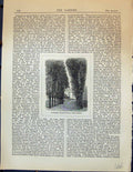 Original Old Antique Print Clipped Trees Little Trianon Houses Garden 1878 19th