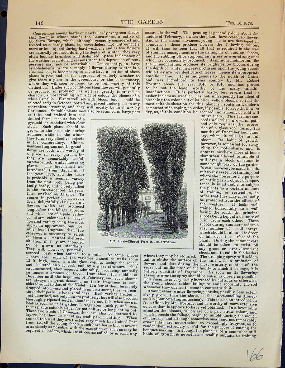 Original Old Antique Print Clipped Trees Little Trianon Houses Garden 1878 19th