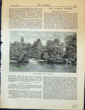 Original Old Antique Print Untortured Trees Little Trianon Lake Garden 1878