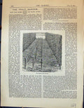 Old Antique Print Tall Espalier Fruit Garden 1878 Trellises Horticulture 19th