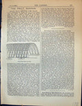 Original Old Antique Print Arched Fruit Trellis Walk Garden 1878 19th