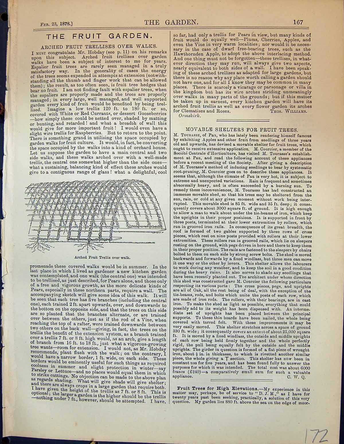 Original Old Antique Print Arched Fruit Trellis Walk Garden 1878 19th
