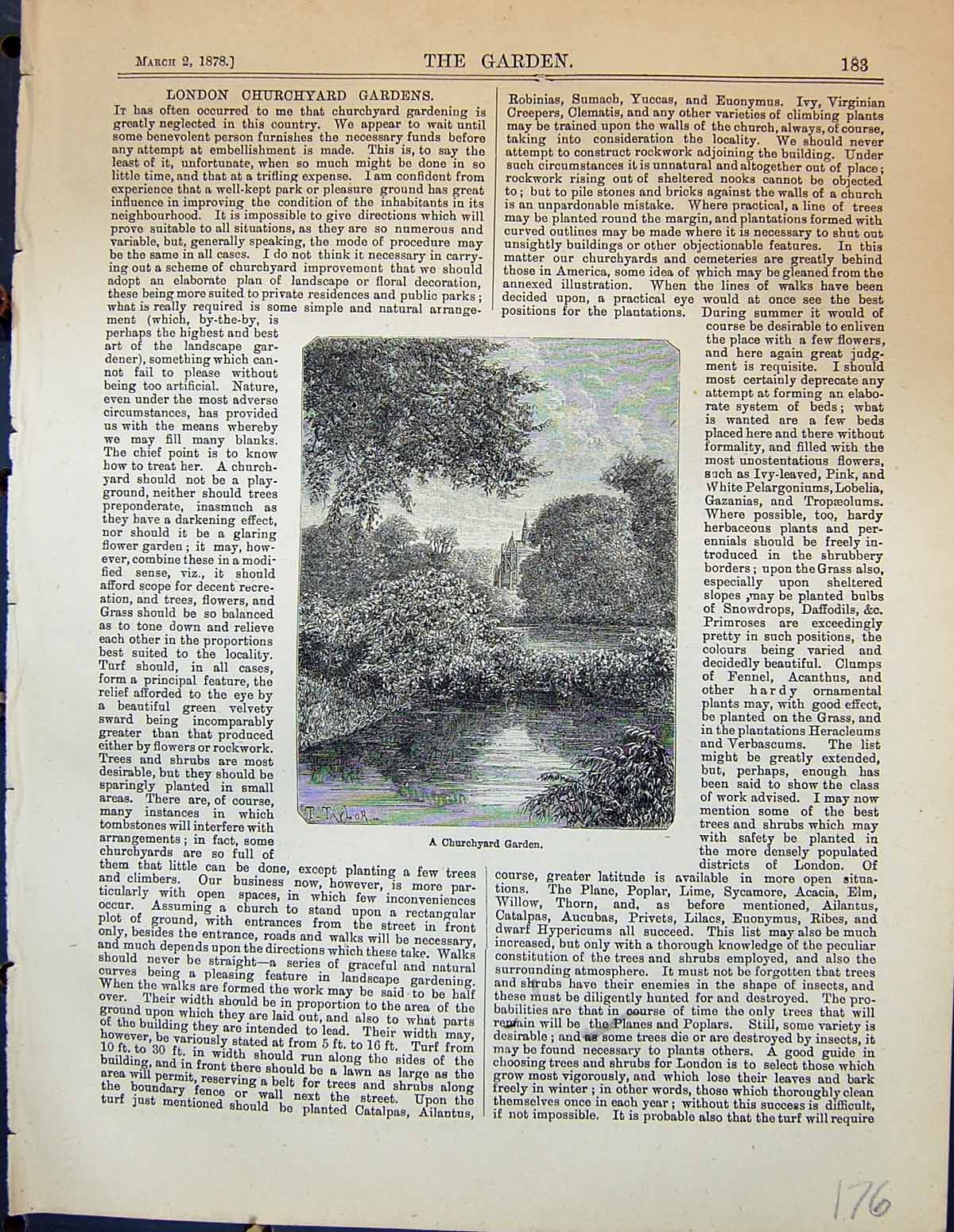 Original Old Antique Print London Churchyard Garden 1878 Trees Plants Victorian