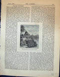 Original Old Antique Print Water Rocks Tuft Arundo Conspicua Trees Garden 1878