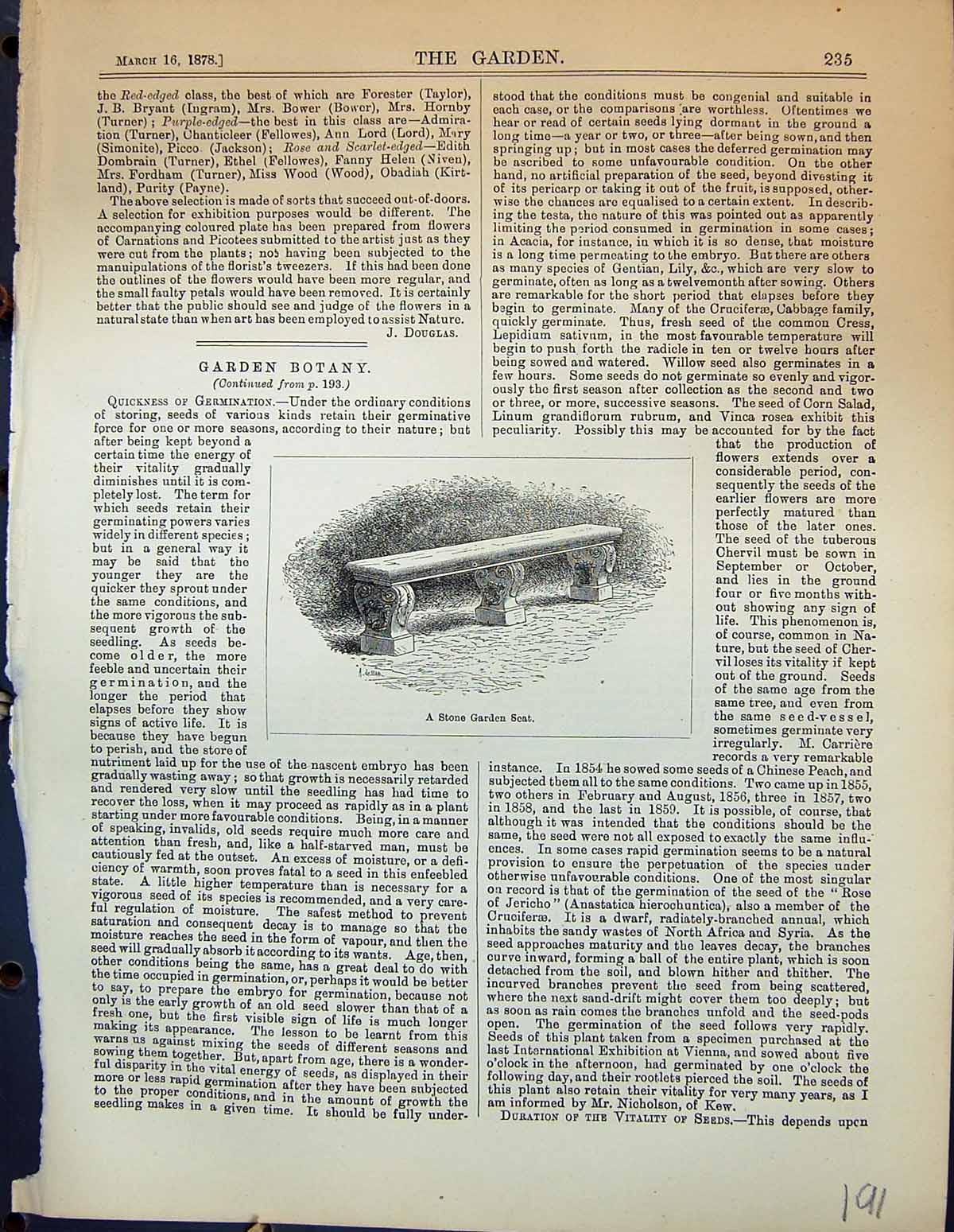 Original Old Antique Print Stone Garden Seat Botany Garden 1878 19th