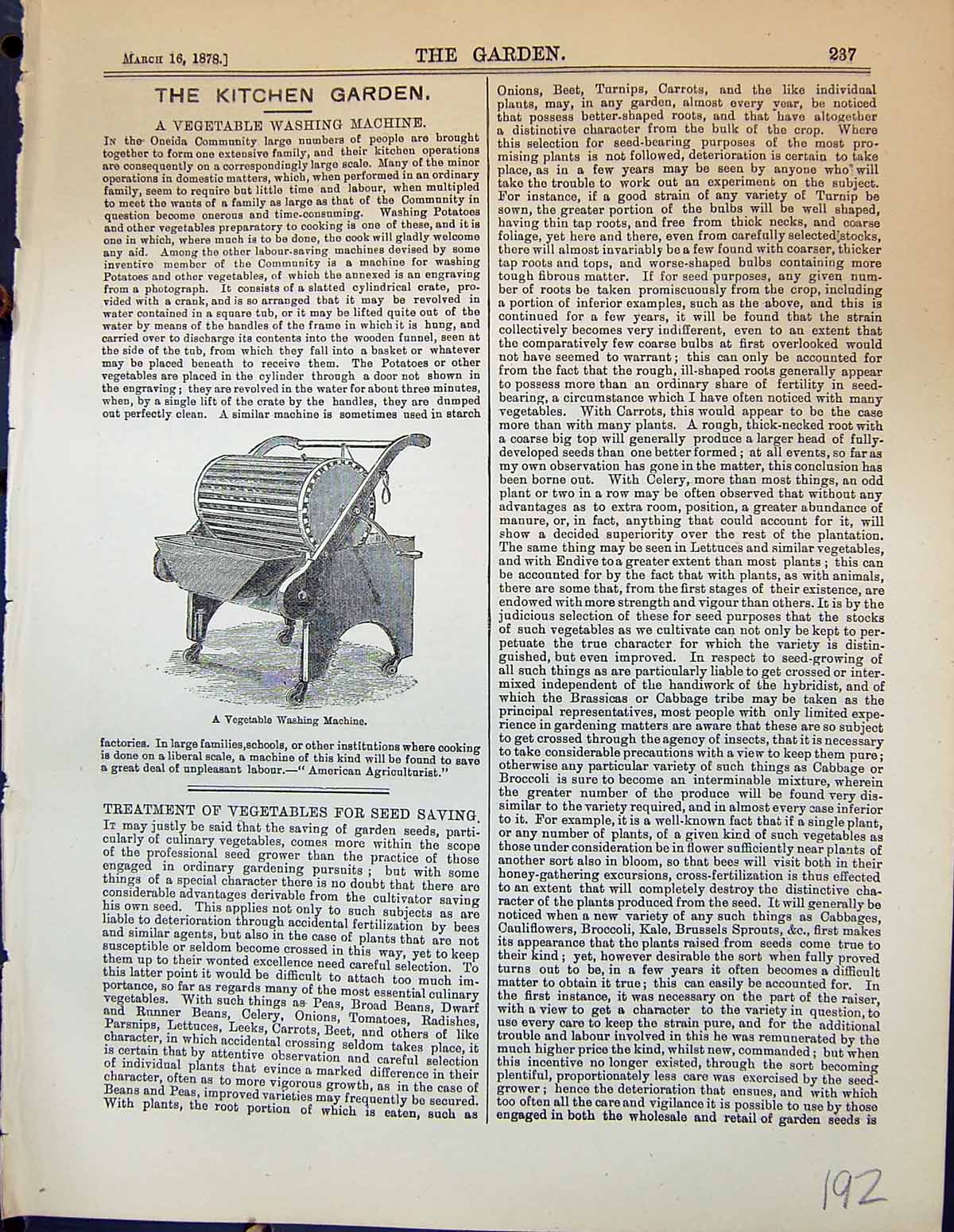 Original Old Antique Print Vegetable Washing Machine Kitchen Garden 1878 19th