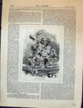 Original Old Antique Print Garden 1878 Vase Roses Maisiat Flowers Victorian