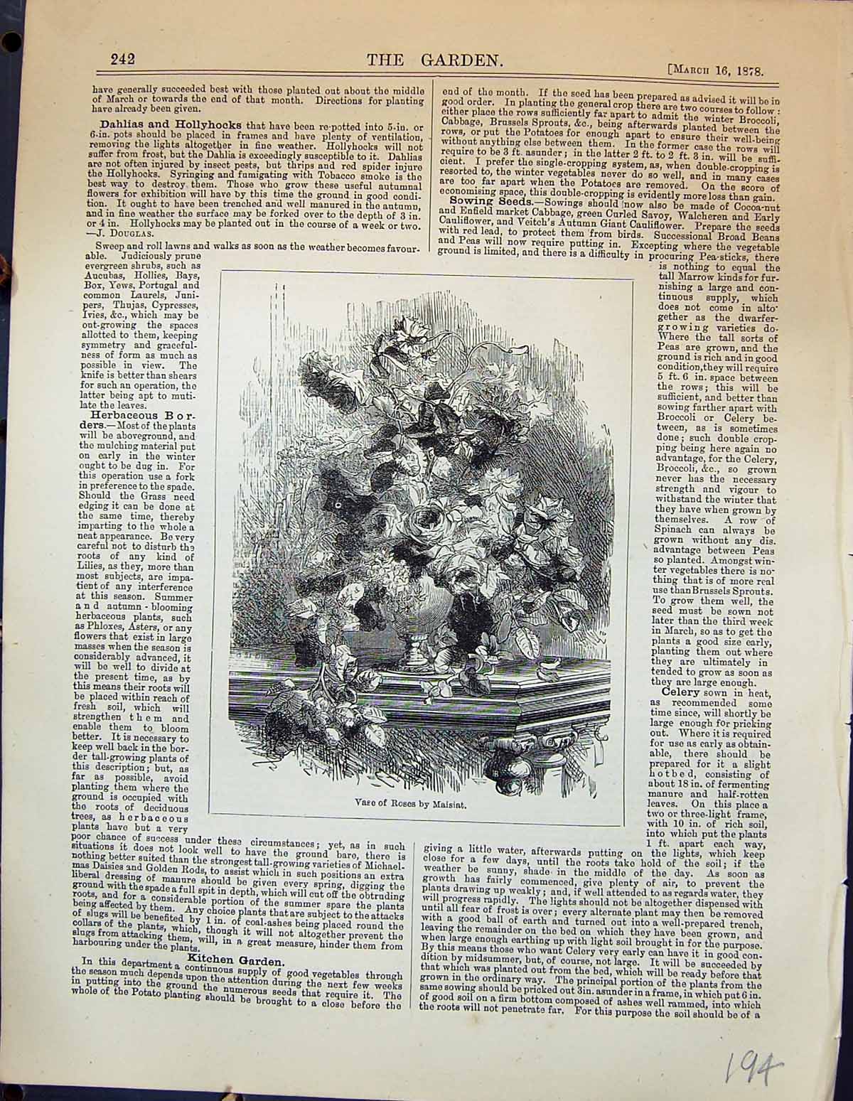 Original Old Antique Print Garden 1878 Vase Roses Maisiat Flowers Victorian