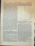 Original Old Antique Print Pear Olivier Se Serres Fruit Garden 1878 Victorian