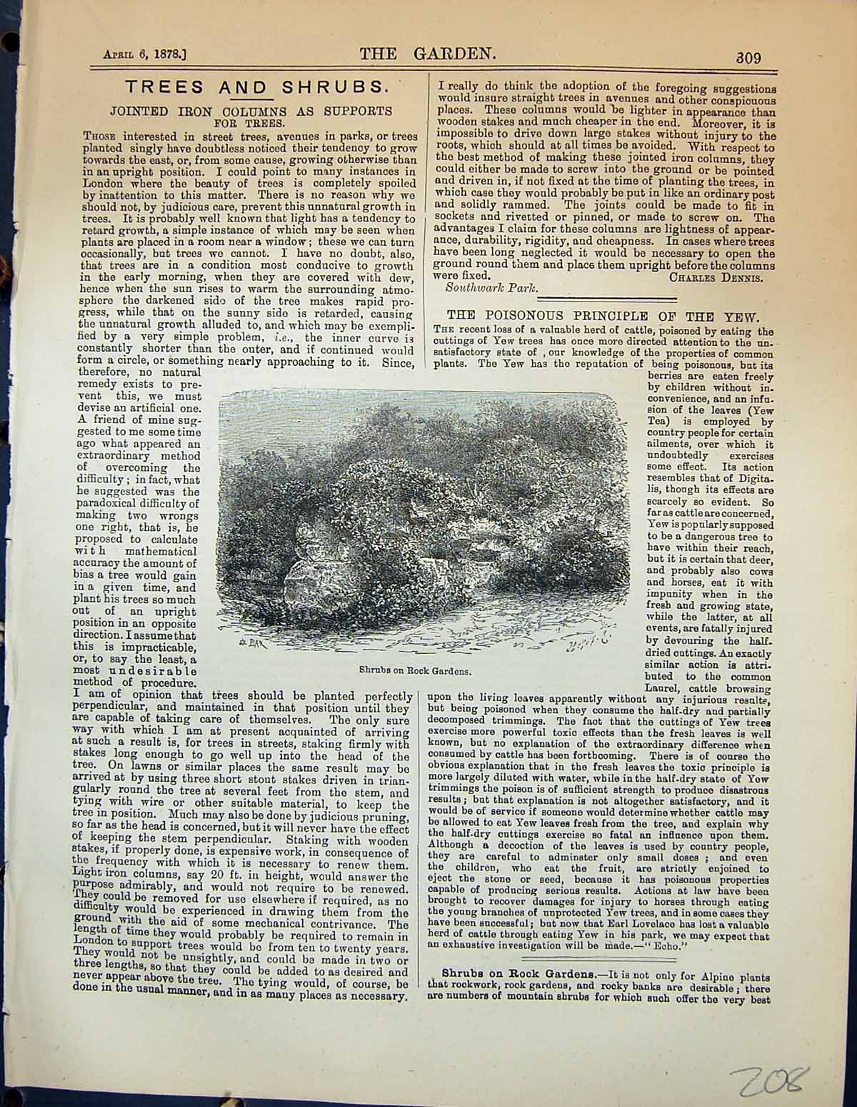 Original Old Antique Print Shrubs Rock Gardens Plants Garden 1878 Victorian