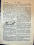 Original Old Antique Print Reed Mat Protectors Garden 1878 19th