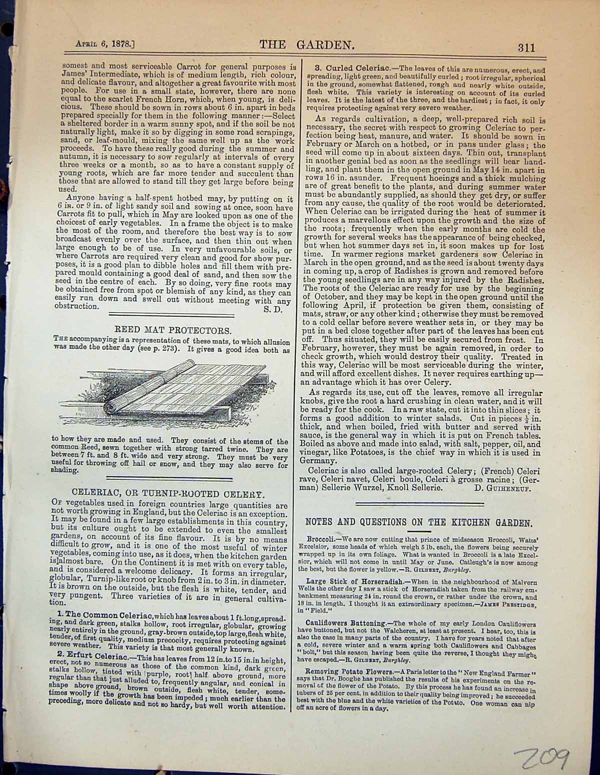 Original Old Antique Print Reed Mat Protectors Garden 1878 19th