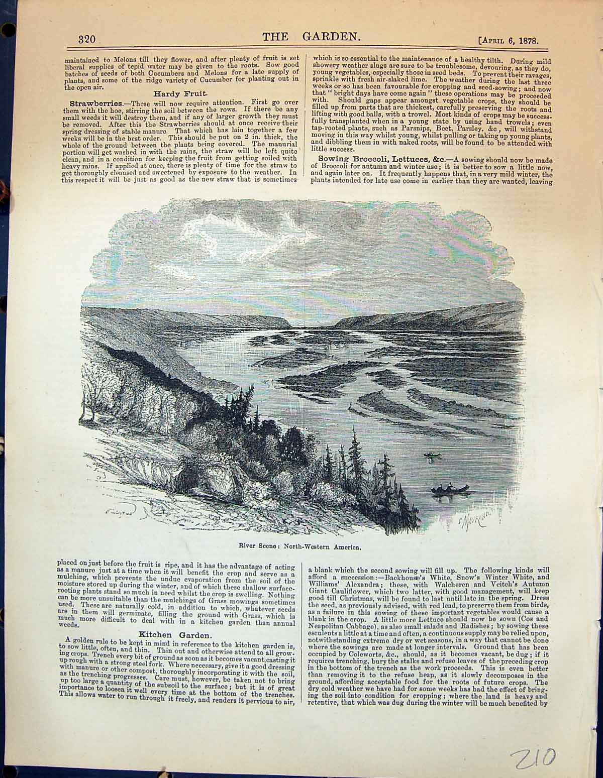 Antique Print River Scene North-Western America Trees Mountains Garden 1878